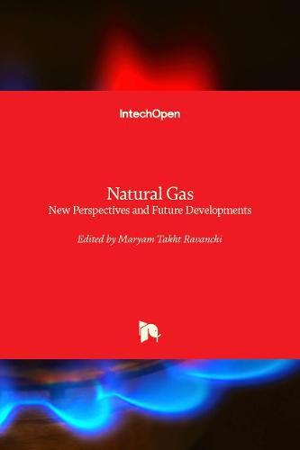 Cover image for Natural Gas: New Perspectives and Future Developments