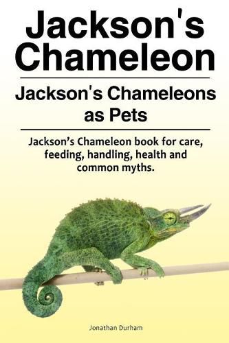 Cover image for Jackson's Chameleon. Jackson's Chameleons as Pets. Jackson's Chameleon book for care, feeding, handling, health and common myths.