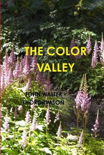 Cover image for The Color Valley