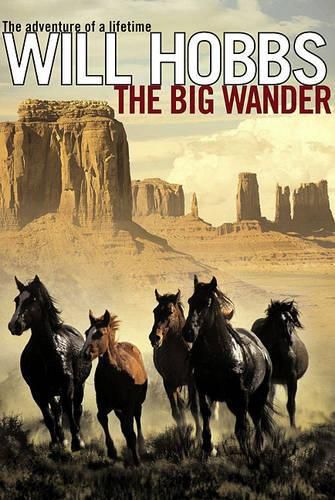 Cover image for The Big Wander