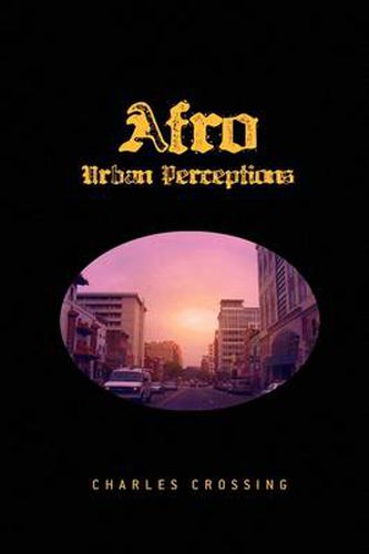 Cover image for Afro Urban Perceptions