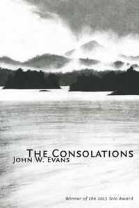 Cover image for The Consolations