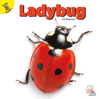 Cover image for Ladybug