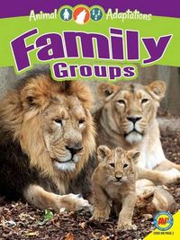 Cover image for Family Groups