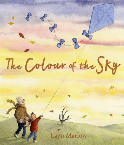 Cover image for The Colour of the Sky