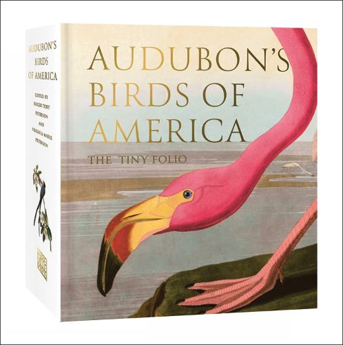 Cover image for Audubon's Birds of America