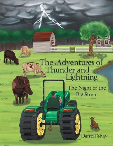 Cover image for The Adventures of Thunder and Lightning: The Night of the Big Storm