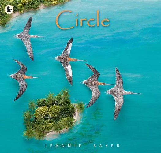 Cover image for Circle