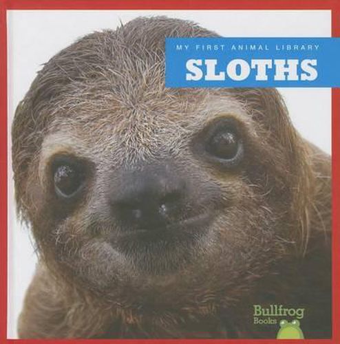 Cover image for Sloths