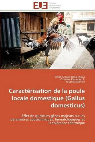 Cover image for Caract risation de la Poule Locale Domestique (Gallus Domesticus)