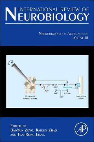 Cover image for Neurobiology of Acupuncture