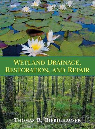 Cover image for Wetland Drainage, Restoration, and Repair