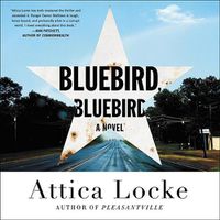 Cover image for Bluebird, Bluebird Lib/E