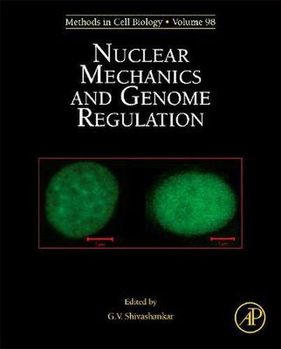Cover image for Nuclear Mechanics and Genome Regulation
