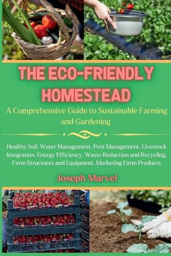 The Eco-Friendly Homestead