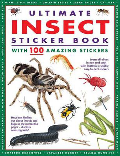 Cover image for Ultimate Insect Sticker Book