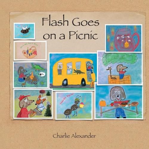 Cover image for Flash Goes on a Picnic