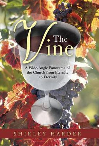 Cover image for The Vine: A Wide-Angle Panorama of the Church from Eternity to Eternity