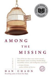 Cover image for Among the Missing