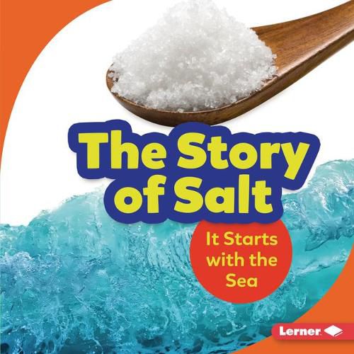 Cover image for The Story of Salt: It Starts with the Sea