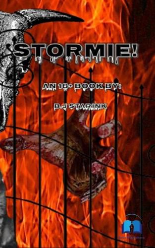 Cover image for Stormie!: An 18+ book