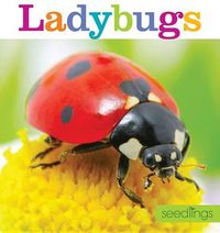 Cover image for Seedlings: Ladybugs