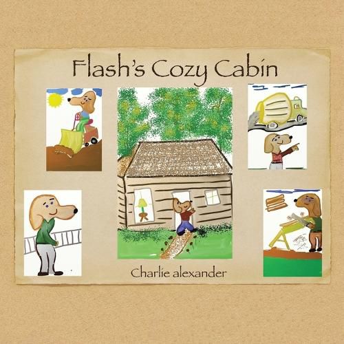 Cover image for Flash's Cozy Cabin