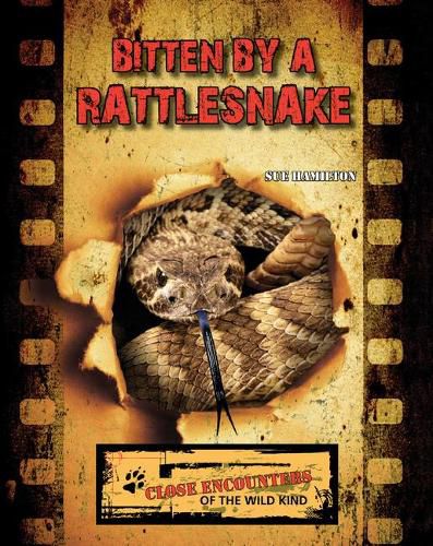 Cover image for Bitten by a Rattlesnake