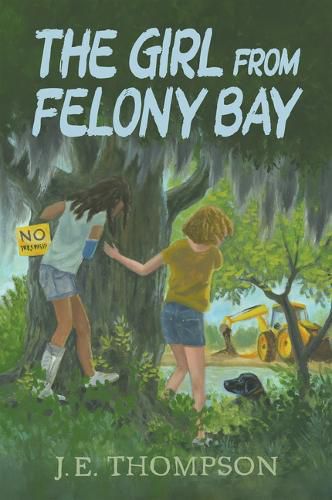 Cover image for The Girl from Felony Bay