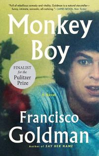 Cover image for Monkey Boy