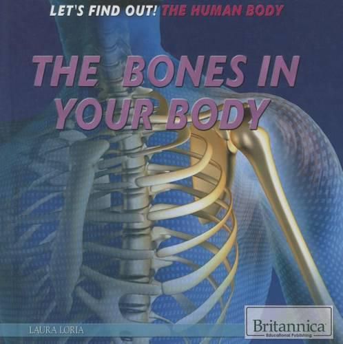 The Bones in Your Body