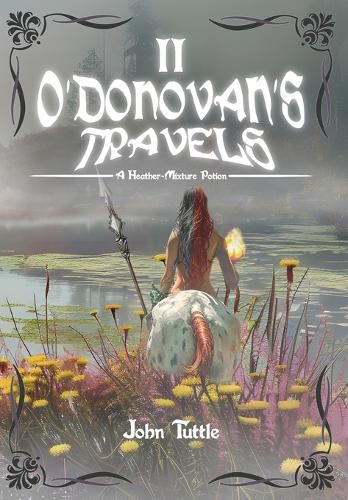 Cover image for O'Donovan's Travels