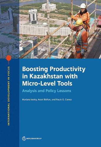 Cover image for Boosting Productivity in Kazakhstan with Micro-Level Tools