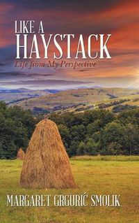 Cover image for Like a Haystack: Life from My Perspective