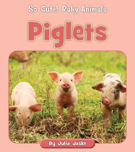 Piglets