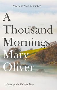 Cover image for A Thousand Mornings