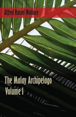 Cover image for The Malay Archipelago - Volume 1