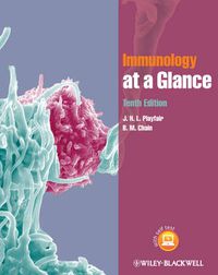 Cover image for Immunology at a Glance