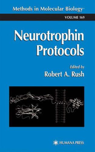 Cover image for Neurotrophin Protocols