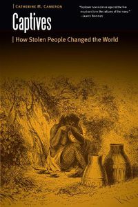 Cover image for Captives: How Stolen People Changed the World