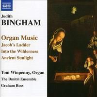 Cover image for Bingham Organ Music Jacobs Ladder Into The Wilderness Ancient Sunlight