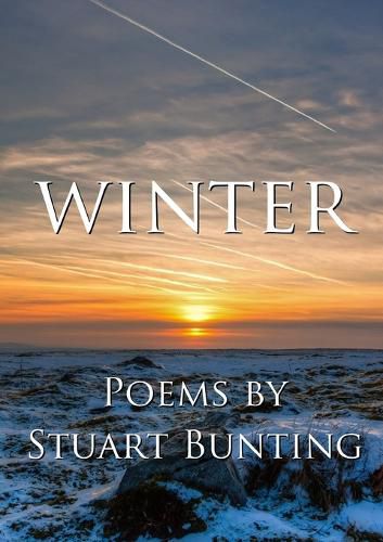 Cover image for Winter