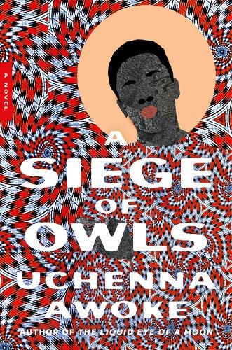 Cover image for A Siege of Owls