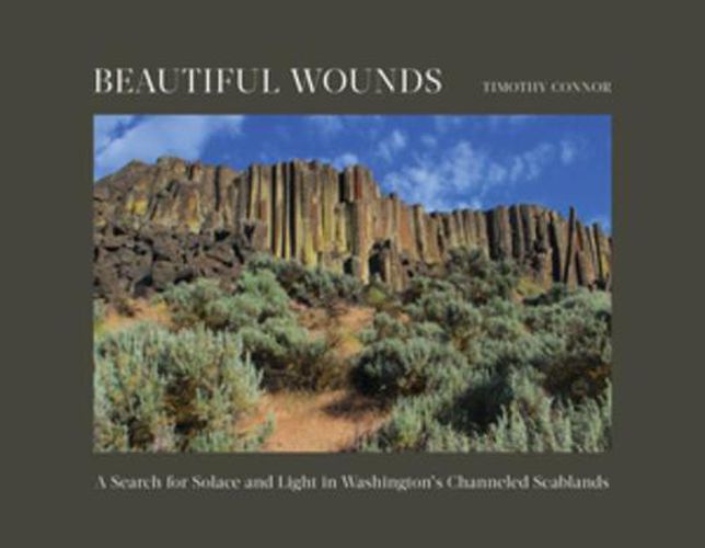 Cover image for Beautiful Wounds: A Search for Solace and Light in Washington's Channeled Scablands