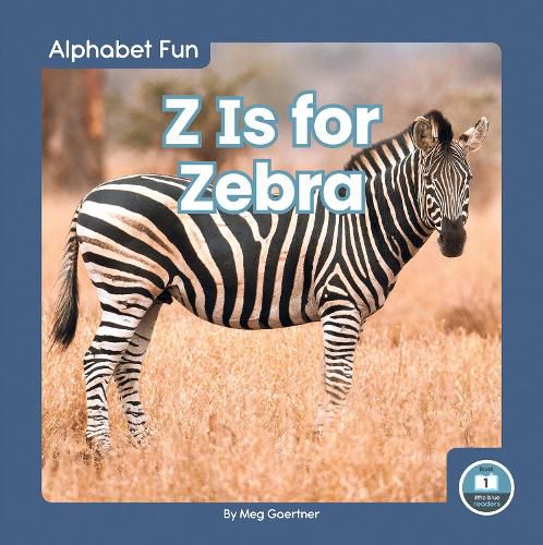 Cover image for Alphabet Fun: Z is for Zebra