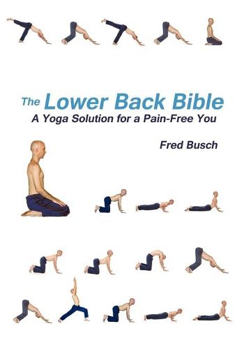 Cover image for The Lower Back Bible