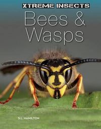 Cover image for Bees & Wasps