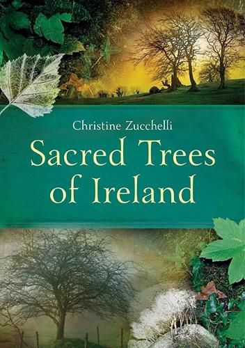 Cover image for Sacred Trees of Ireland