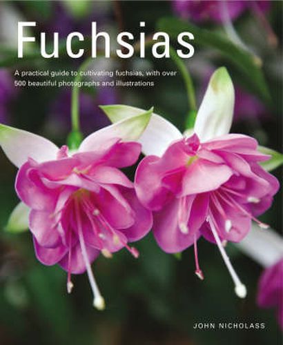 Cover image for Fuchsias