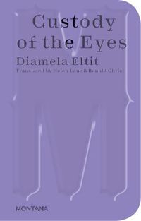 Cover image for Custody of the Eyes